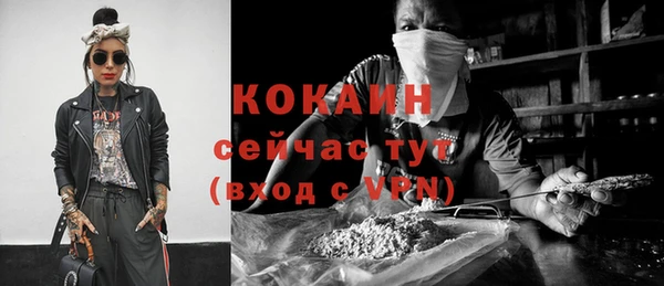 молекула духа Алексеевка