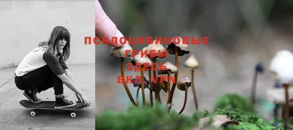 ГАЛЛЮЦИНОГЕННЫЕ ГРИБЫ Абинск