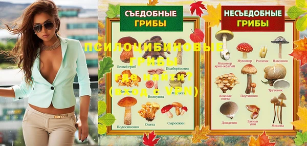 соль ск Алексин