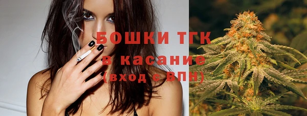 соль ск Алексин