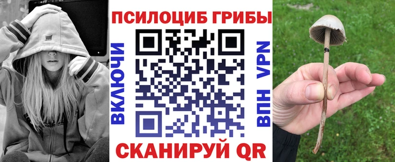купить  цена  Советская Гавань  Галлюциногенные грибы прущие грибы 