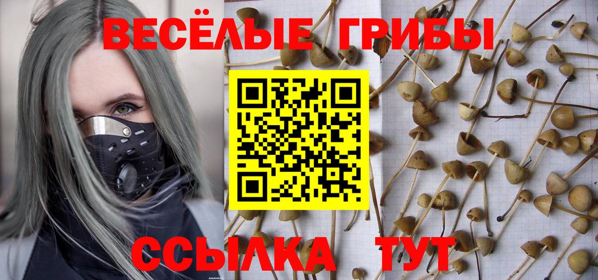 Псилоцибиновые грибы MAGIC MUSHROOMS Советская Гавань