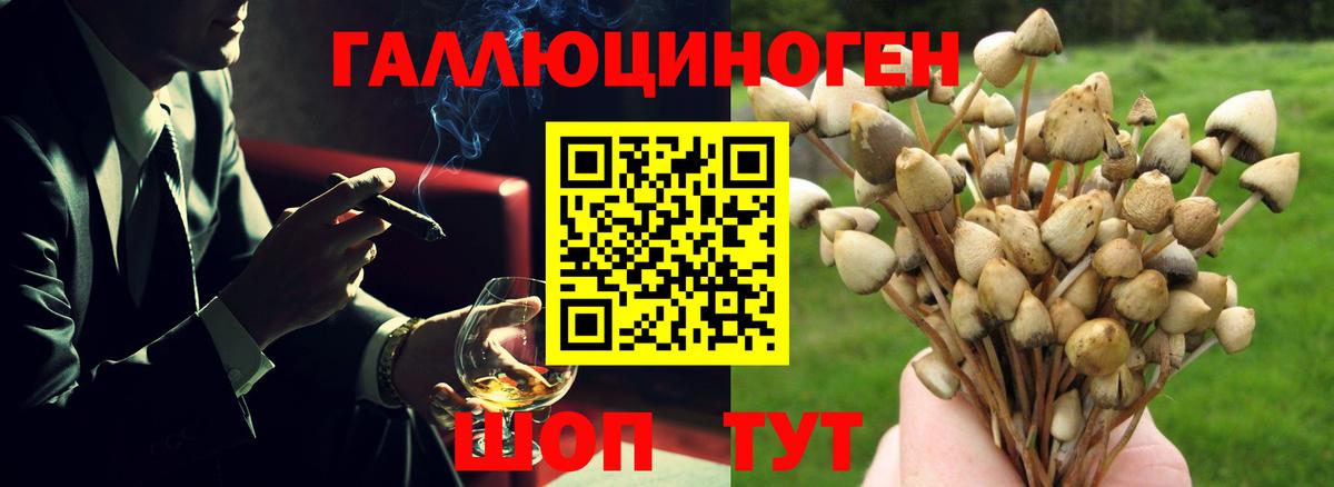 Псилоцибиновые грибы ЛСД Советская Гавань