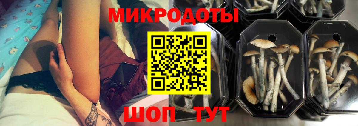 Советская Гавань  Псилоцибиновые грибы MAGIC MUSHROOMS  Вход с VPN 